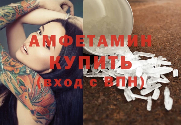 прущая мука Вяземский