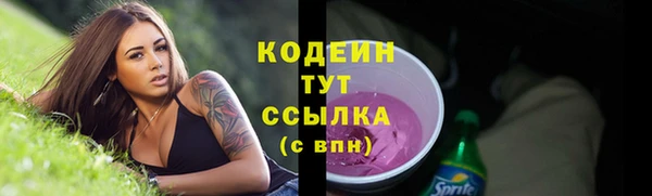 молекула духа Волосово