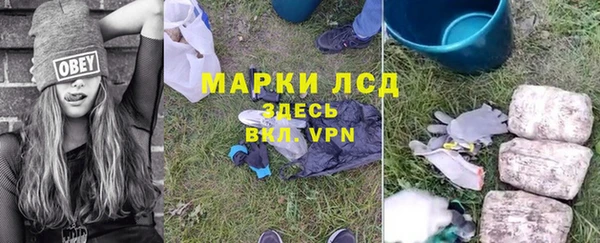 прущая мука Вяземский