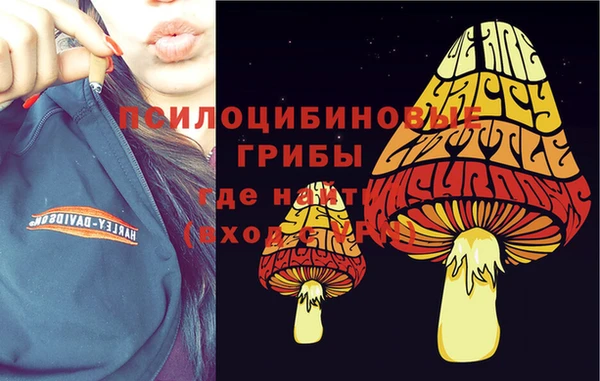 молекула духа Волосово