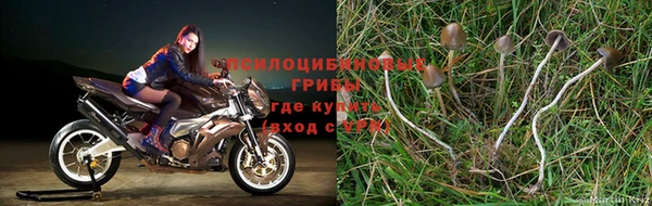 МДМА Вязники
