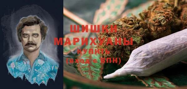 МДПВ Вязьма